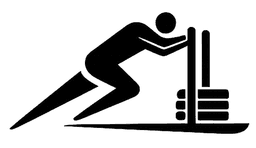 Hybrid Training Plan