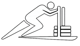 Hybrid Training Plan